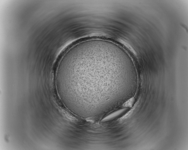 X0000097761021200803211709