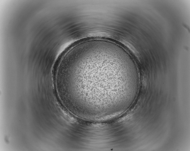 X0000097761022200803211709