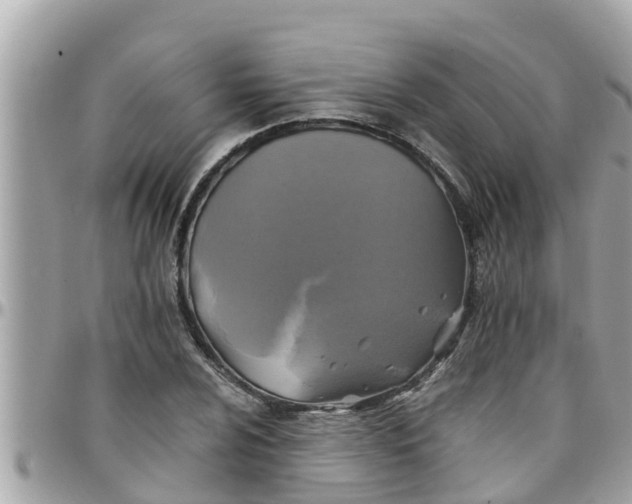 X0000097761024200803211709