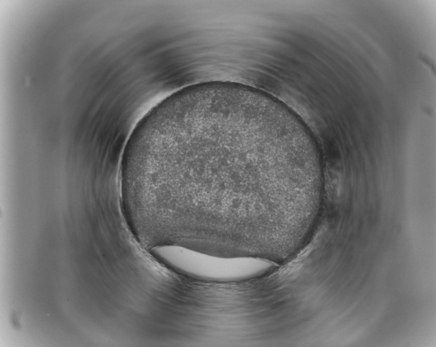 X0000097761028200803211709