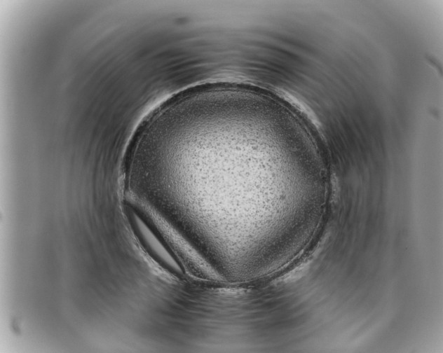 X0000097761029200803211709