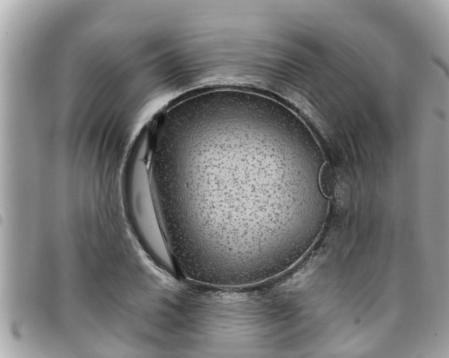 X0000097761030200803211710