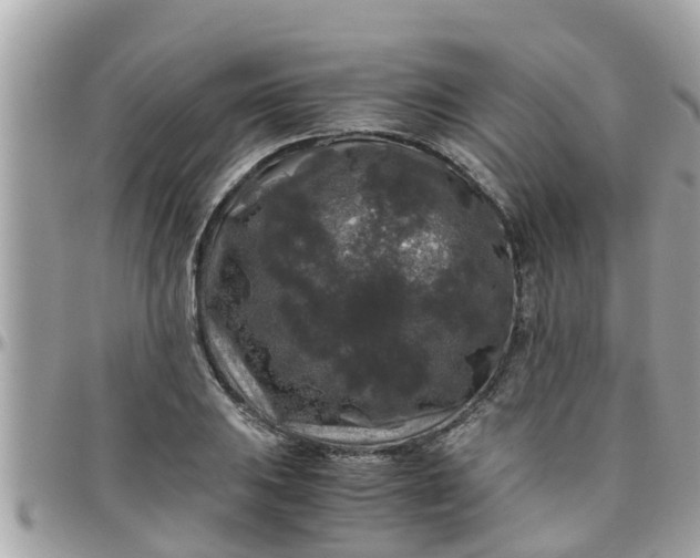 X0000097761031200803211710