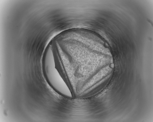 X0000097761032200803211710