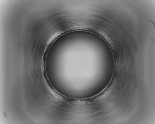 X0000097761034200803211710