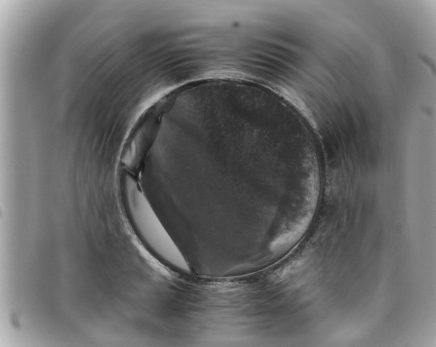 X0000097761037200803211710