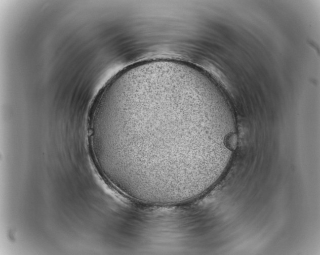 X0000097761038200803211710