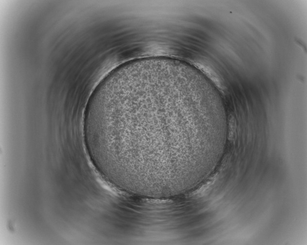 X0000097761039200803211710