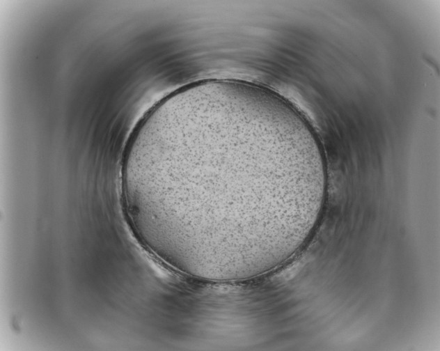 X0000097761040200803211710