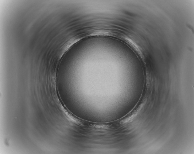 X0000097761041200803211710