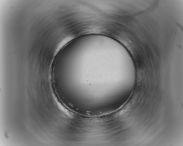 X0000097761042200803211710