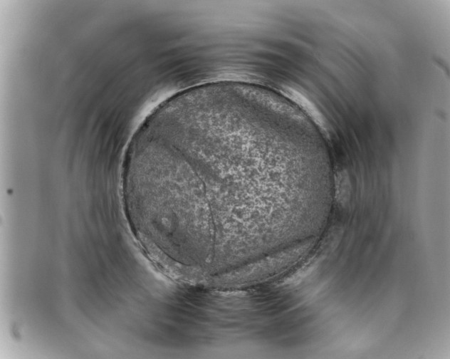 X0000097761043200803211710