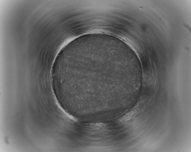 X0000097761045200803211710