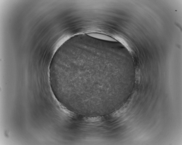 X0000097761047200803211710