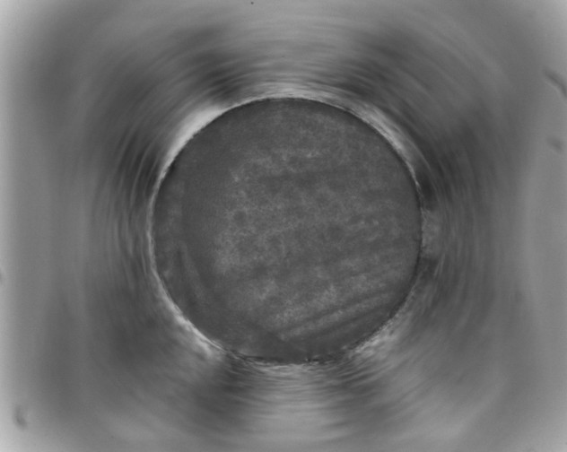 X0000097761048200803211710