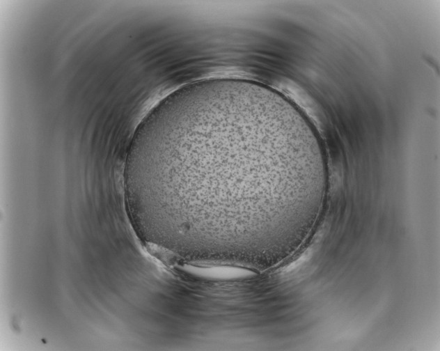 X0000097761049200803211710