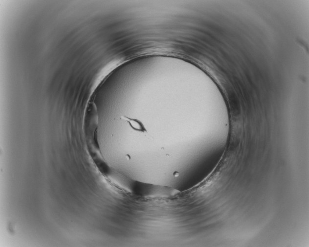 X0000097761050200803211710