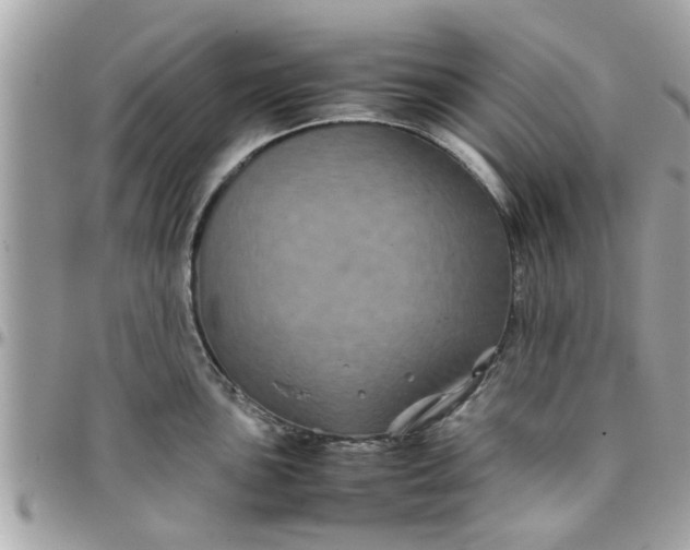 X0000097761051200803211710