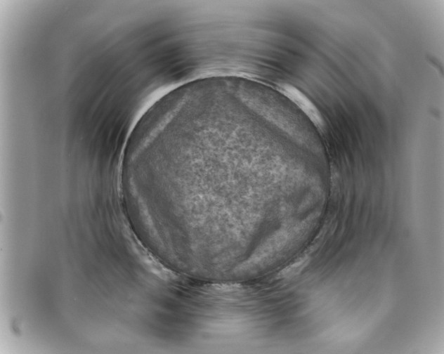 X0000097761052200803211710