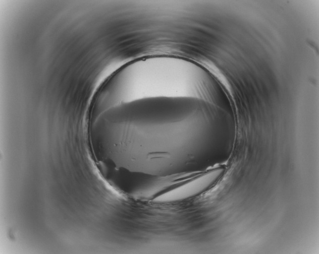 X0000097761053200803211710