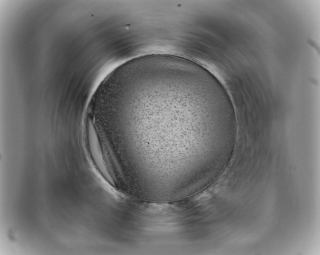 X0000097761056200803211710