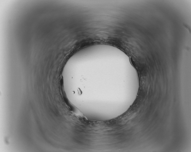 X0000097761057200803211709