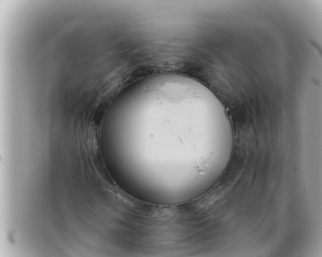 X0000097761058200803211709