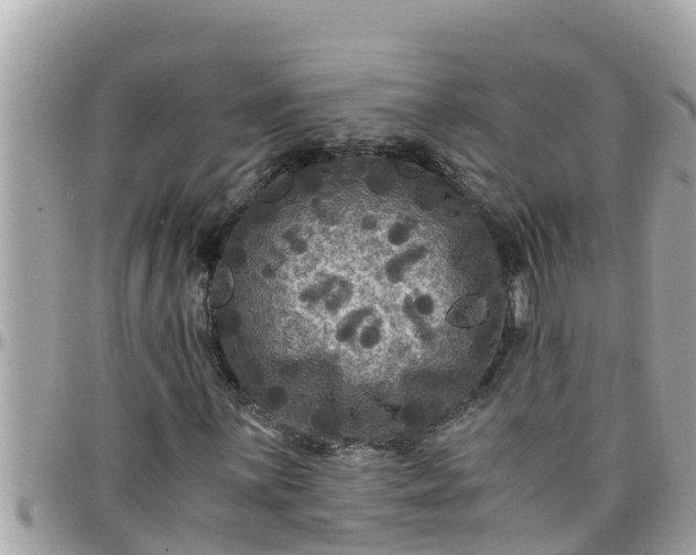 X0000097761059200803211709