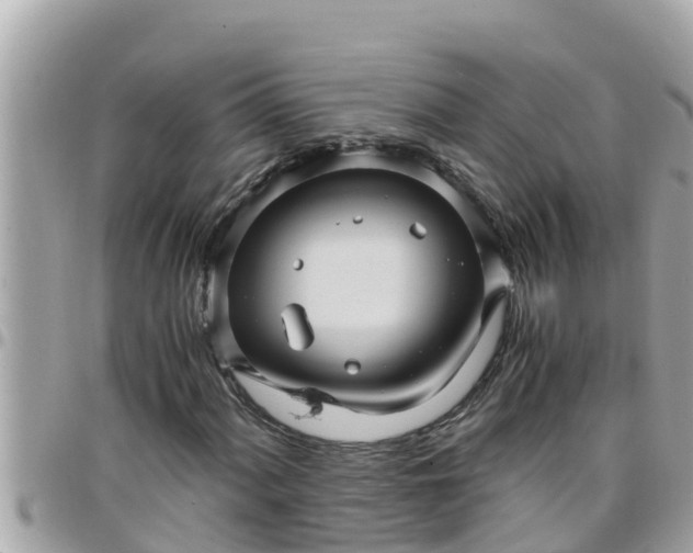 X0000097761060200803211709