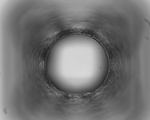 X0000097761061200803211709