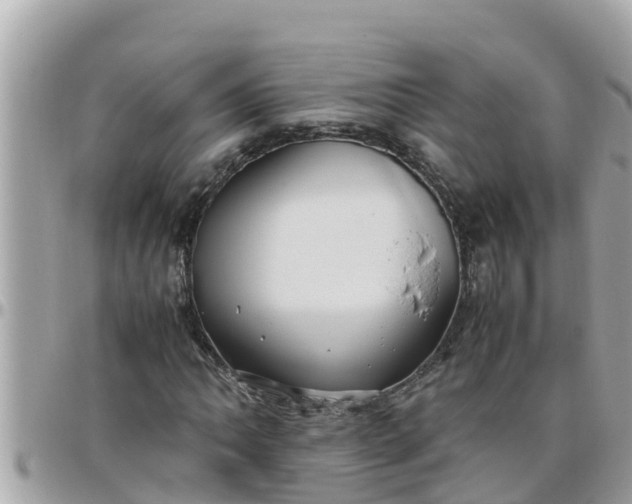 X0000097761062200803211709