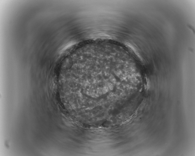 X0000097761063200803211709