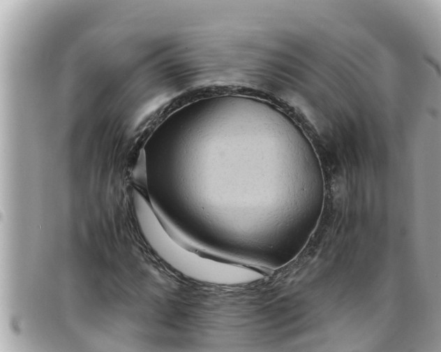 X0000097761064200803211709