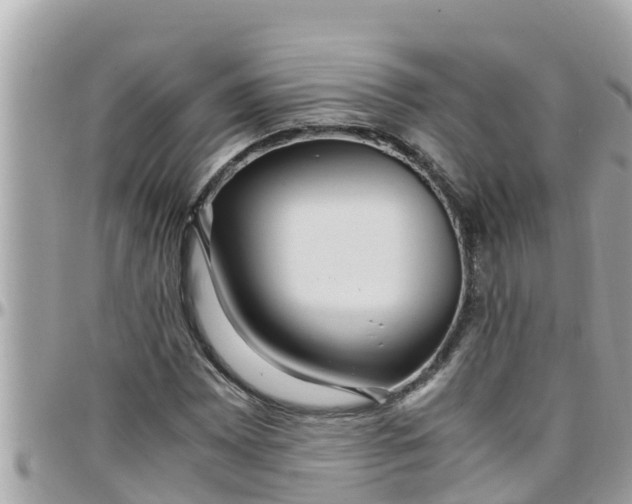 X0000097761065200803211709