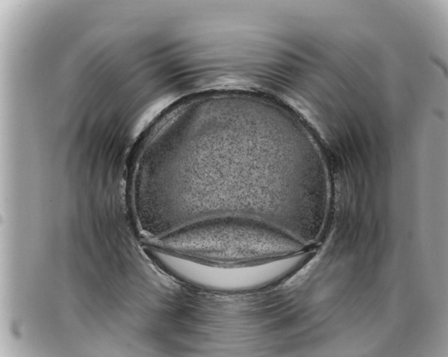 X0000097761066200803211709