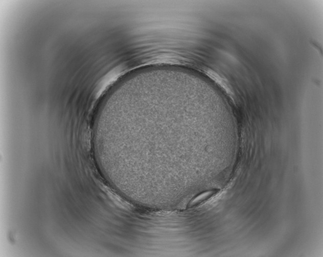 X0000097761067200803211709