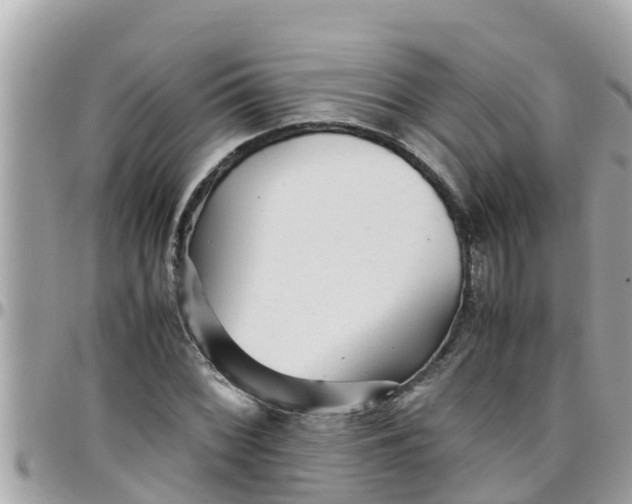 X0000097761068200803211709