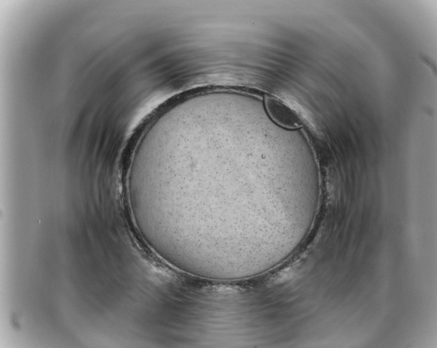 X0000097761070200803211709