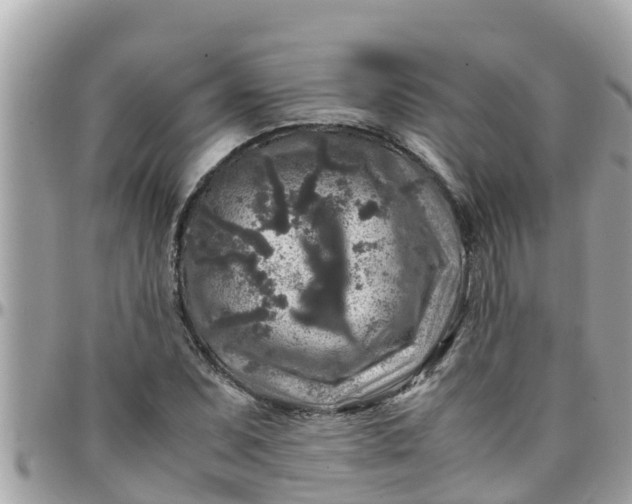 X0000097761071200803211709