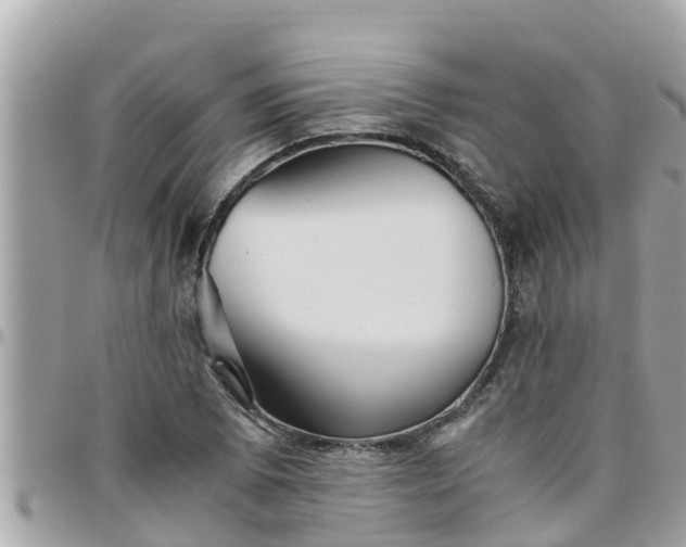 X0000097761073200803211709