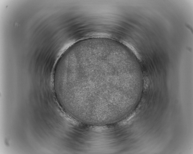 X0000097761074200803211709