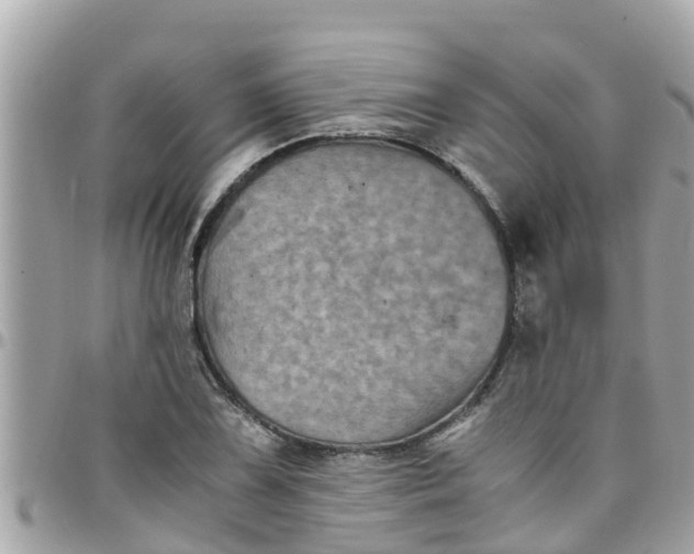 X0000097761075200803211709