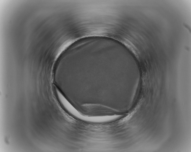 X0000097761077200803211709