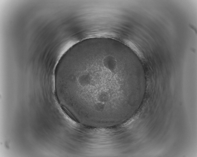 X0000097761079200803211709