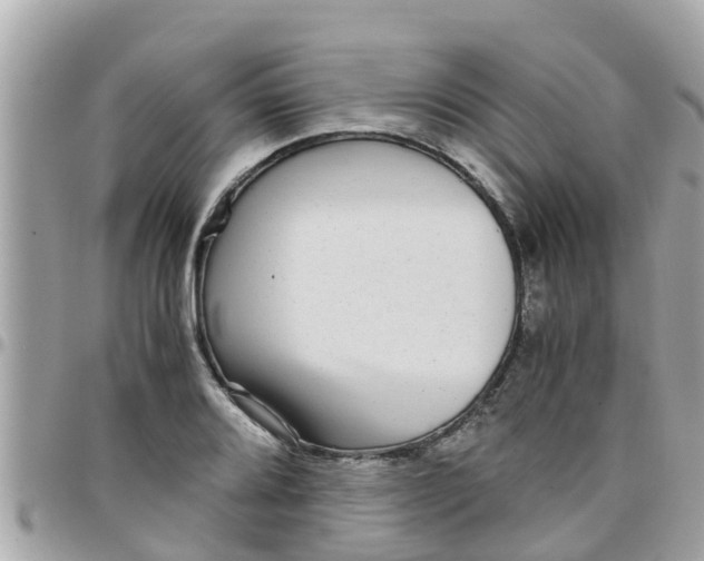 X0000097761080200803211709