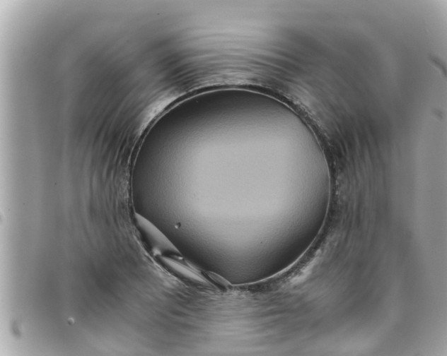 X0000097761081200803211709