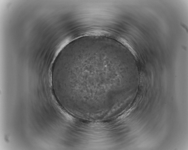 X0000097761083200803211709