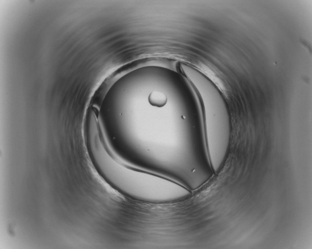 X0000097761084200803211709