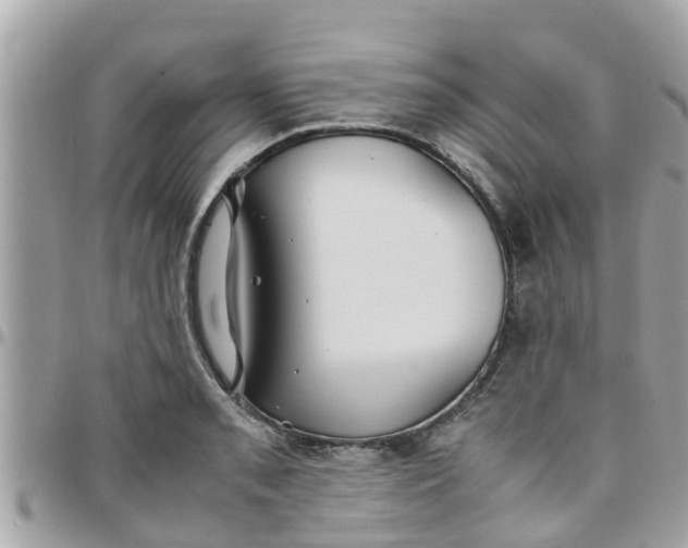 X0000097761085200803211709