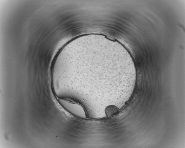 X0000097761088200803211709